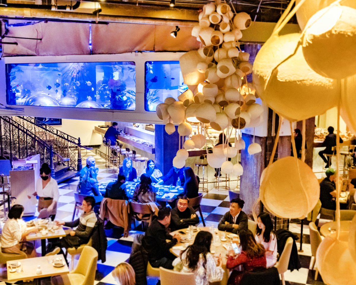 Mrs. Fish tweet media