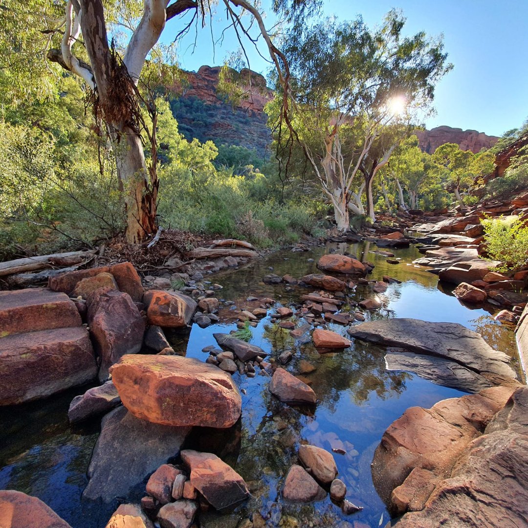MaximusCampers's tweet photo. Fulfill your #senseofadventure in 2023
with a trip to #CentralAustralia & experience
some of the most stunning #naturalwonders
our great #country has to offer.
@SEITOutbackAU https://t.co/dmaqN3nLEn