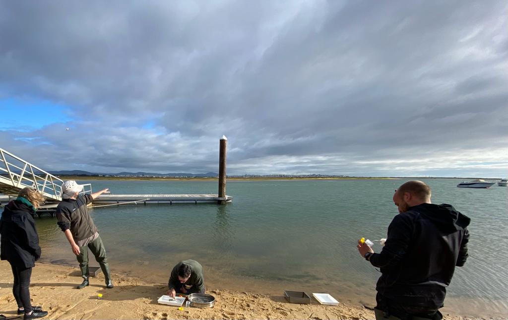 _JoseAAlves_'s tweet photo. Final sampling day of #SIBES_Formosa What a sprint to sample the entire #intertidal #flats of Ria #Formosa Natural Park in a week - team work makes the dream work! #biodiversity #conservation #shorebirds #waders #macrobenthos
@eco_flyway
@GlobalFlyway @WaderStudy @RamsarConv https://t.co/A42j1GxKST