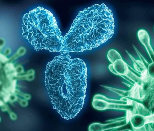 JordanD01835552's tweet photo. Come gather at the biggest virology event of the year.
Register as a speaker, delegate.....
#virology #pathology #microbiology #oncology #virologist #molecularbiology #viral #virology2023 #virologyconference #COVID19
#influenza #infection #infectiousdiseases #covid #immunology https://t.co/ipzjBNTJ1a