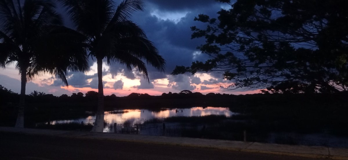 Luis Torres ϟ tweet media