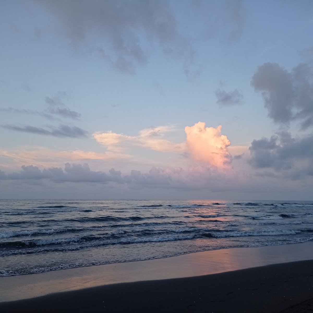 Luis Torres ϟ tweet media