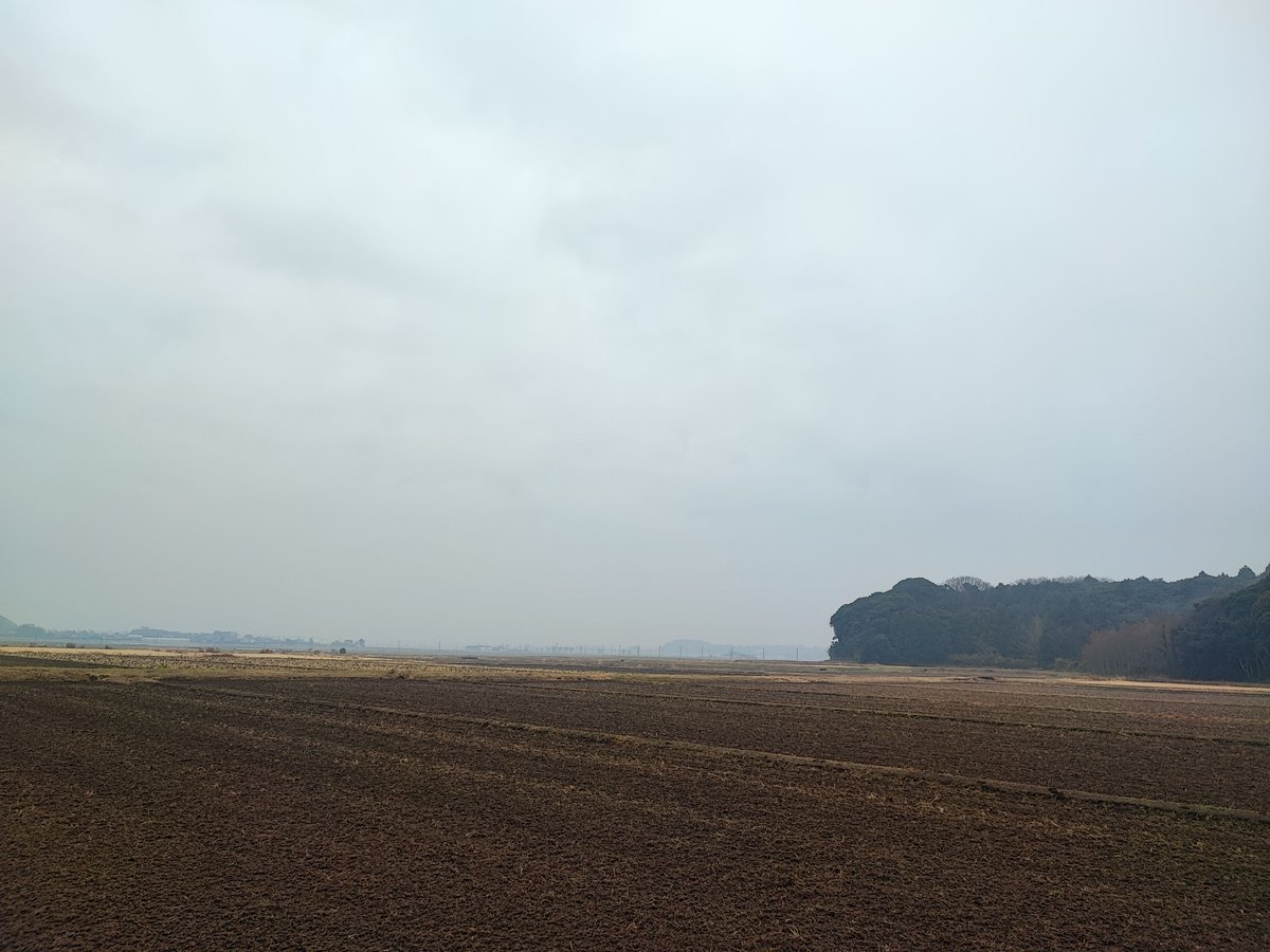 Madam_Fujiko's tweet photo. It's rainy today. 😊I expected it to be a severe cold. Tomorrow it might be colder than today. 
Let's keep bracing for it. 🙂

#茨城県 #稲敷市 
#Inashiki #Ibaraki #rural #countryside #Japan https://t.co/k8MhJvIfLJ