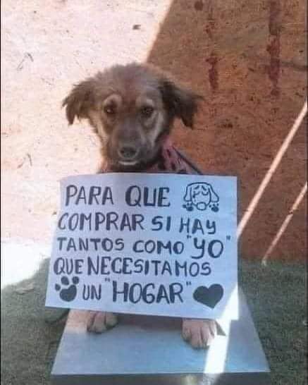 Sabueson's tweet photo. Así es https://t.co/5pTnOMxbWr