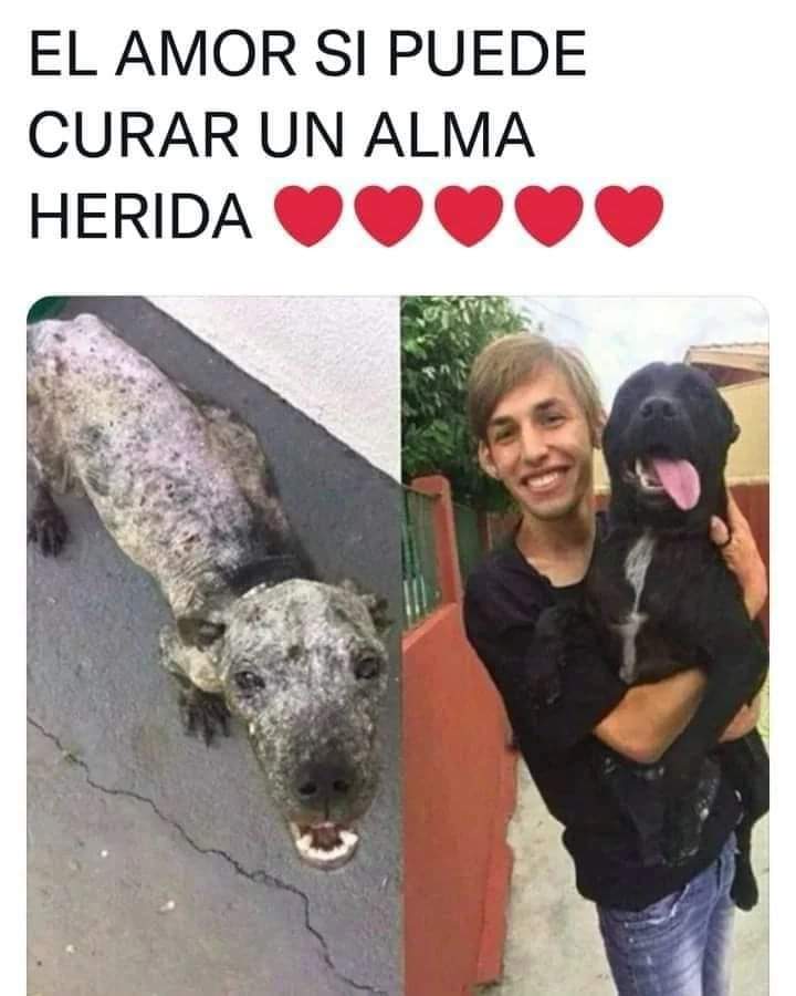Sabueson's tweet photo. Uds que creen ? https://t.co/6irEtNivMK