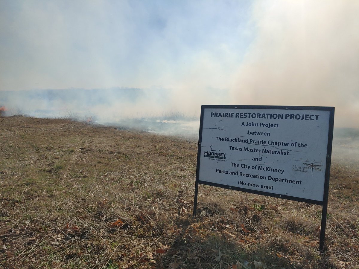 It's taken about 5 months of planning and coordination, but It's always a good day when the weather cooperates and you can go burn. Kudos to <a href="/mckinneytxfire/">mckinneyfire</a> and <a href="/CityOfMcKinney/">City of McKinney #McKinneyTexas</a> parks for getting #goodfire back into Erwin Park.