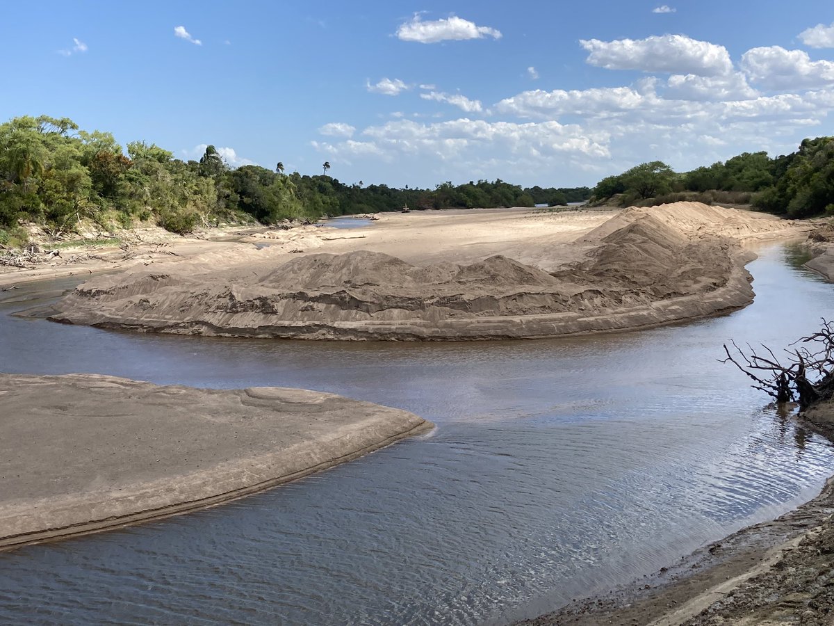 chapicrc's tweet photo. Río Cebollati 
23/01/23
Apretando la seca https://t.co/YgsUjklowg