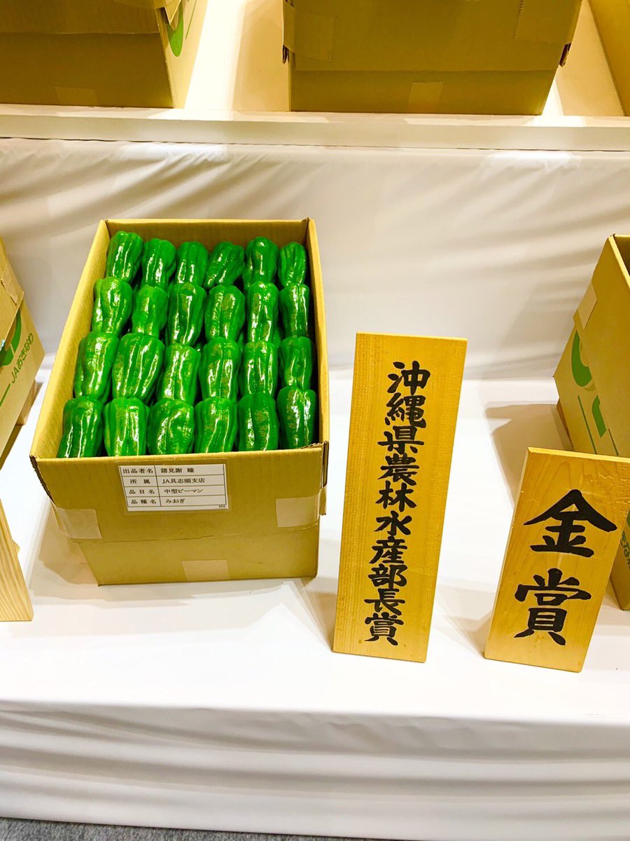 jp_post_okinawa's tweet photo. 1/22 #沖縄県やさいフェスティバル実行委員会 さまと関係農家さまより、たくさんの優秀な野菜や果物を　#おきなわこども未来ランチサポート （＃琉球新報社 、#おとなワンサード 、#日本郵便沖縄支社 ）へ寄付していただきました！ありがとうございます！
#沖縄県農業協同組合 #沖縄県農林水産部 https://t.co/VoXiSz3X7y
