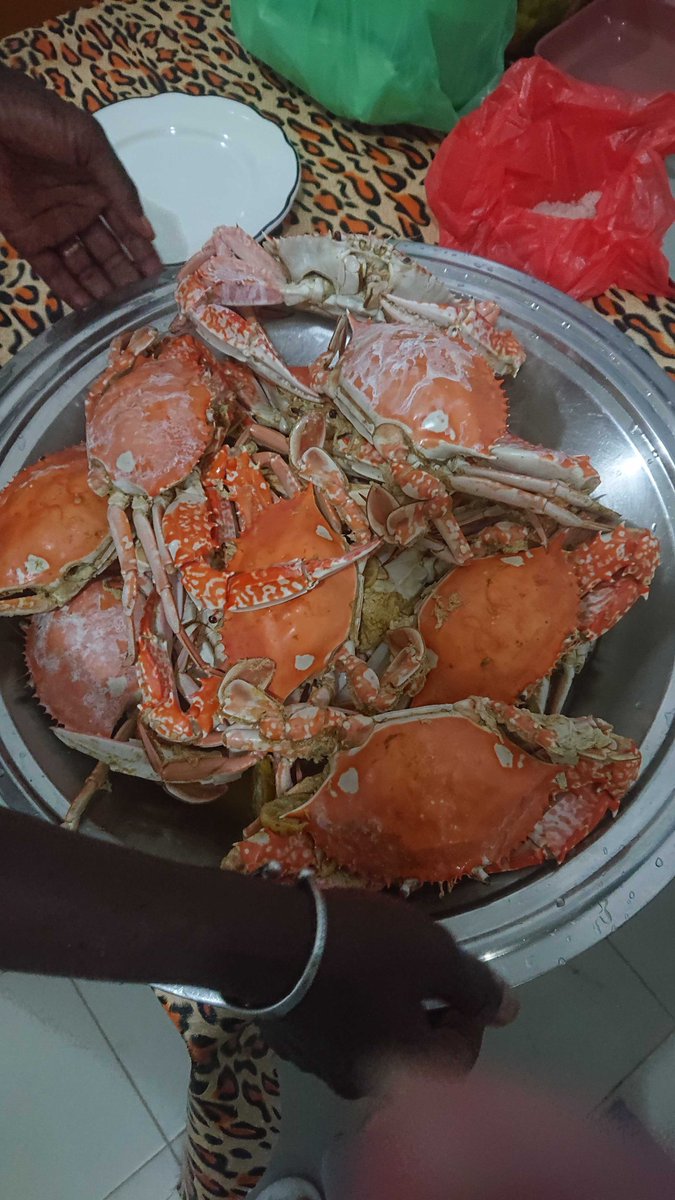 icnetlimited's tweet photo. #今日もどこかに誰かが出張中
~出張先での食事~ セネガルのカニ!🦀Photo by #ICNet社員
#出張 #localfood #local #food #foodie #食事 #photograph #風景 #景色 #文化 #アフリカ #africa #海外 #伝統 #ICNet #海外旅行
公式Instagram:https://t.co/5u0DMkERK6 https://t.co/Gx10Ql3R7d