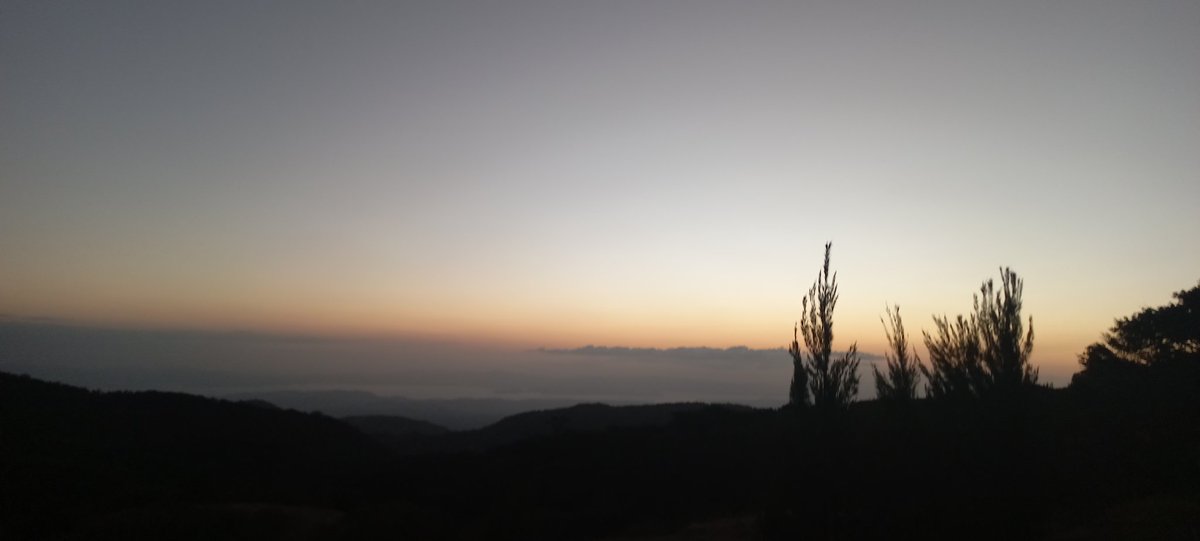 #monteverde