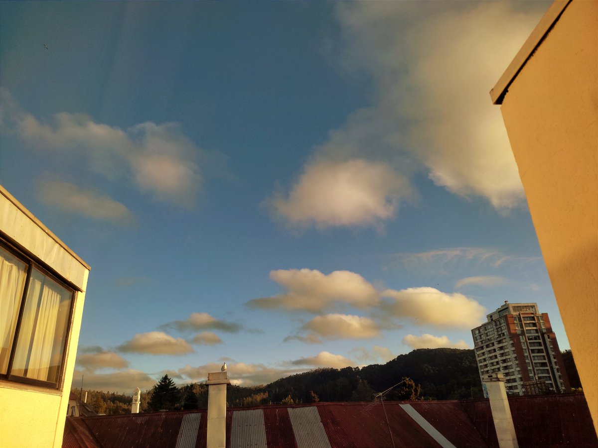 Cielo parcial al atardecer en #Concepción —Región del #BioBío—, Correspondiente al Lunes 23 de Enero de 2023. #RedMeteo #ElTiempoCHV