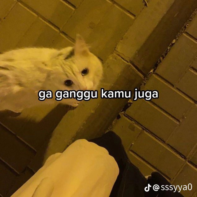 rep /delvote to delete mfs tweet media