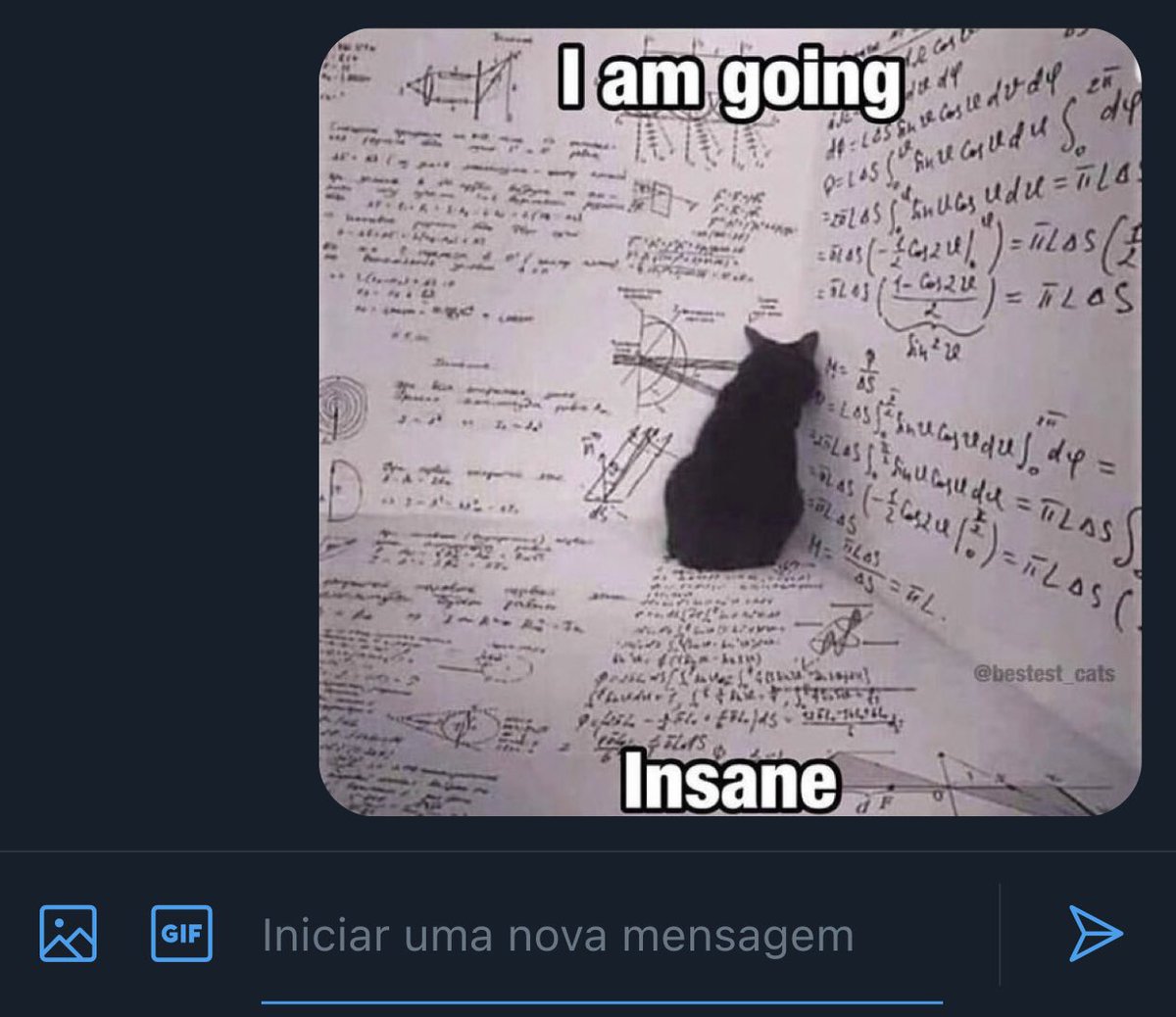 togev1l's tweet image. [023]