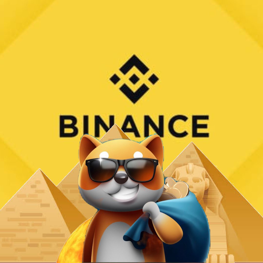 AlphaCryptoGems's tweet photo. Retweet if you want @binance to accept #BabyDogeCoin 🔥🚀 https://t.co/9QP9vsiClo