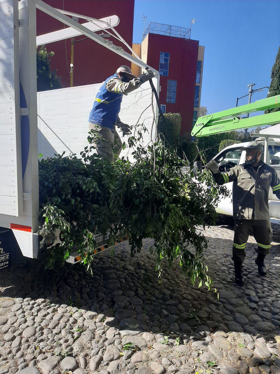 Alcaldia_Coy's tweet photo. Siguiendo las instrucciones de nuestro alcalde Giovani Gutiérrez, el equipo de la Subdirección de la Territorial Pedregales realizó trabajos de poda, clareo y liberación de espacios en la colonia Pedregal de Carrasco.

#ContigoSomosImparables https://t.co/yEI9yPGj3r