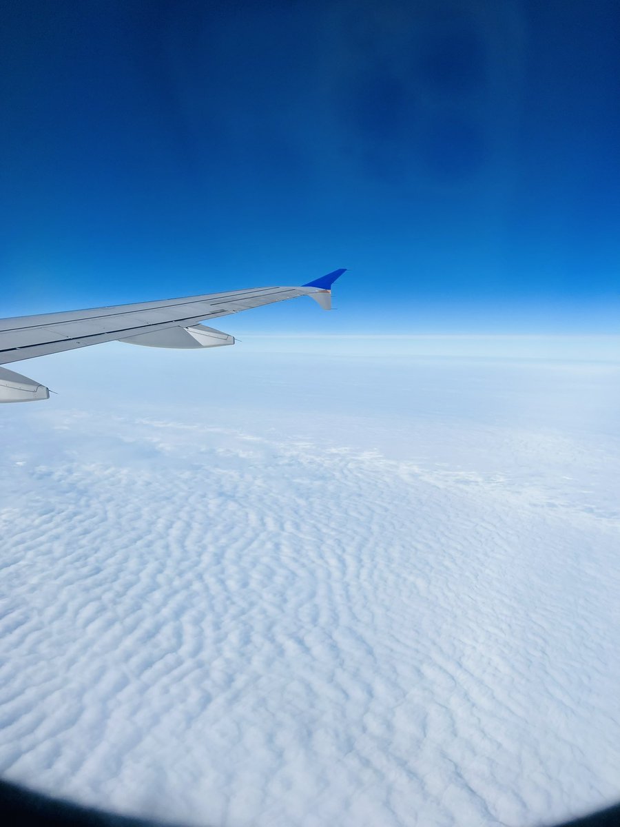 Laura Williams ✨ tweet media