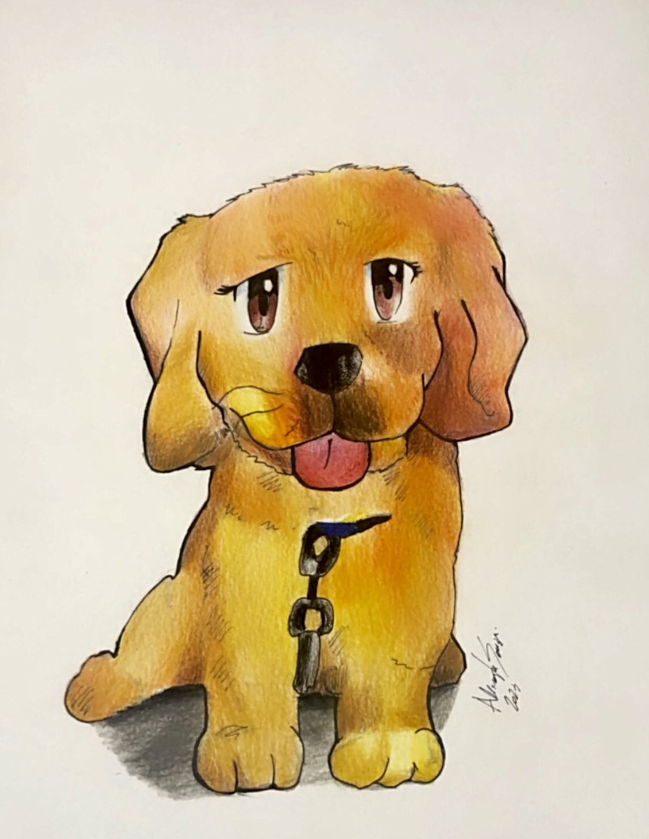 ChibsCourse tweet picture