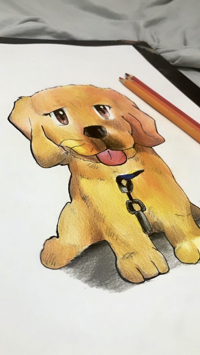 ChibsCourse tweet picture