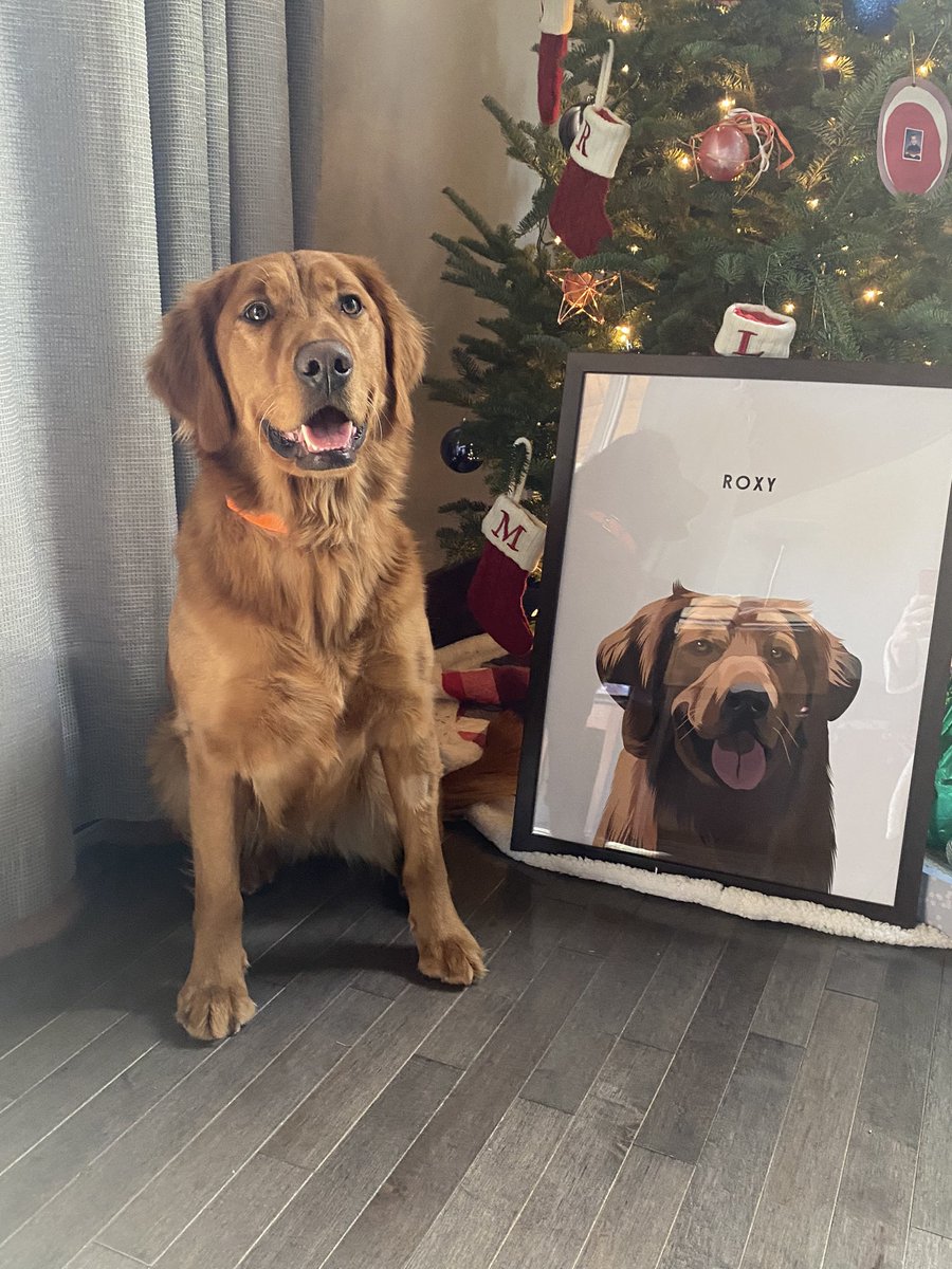 PaulaHawle's tweet photo. @mradamwelcome Our best girl Roxy!!!! https://t.co/Ygz69VGxnv