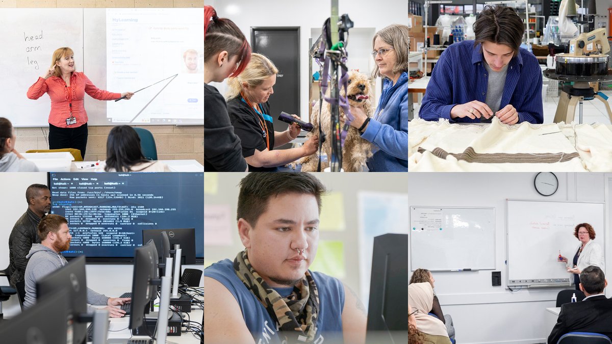 KanganInstitute's tweet photo. Everyone has a right to education and this International Day of Education, we reflect on our role in providing vocational education and training, making a difference to the lives of thousands of students every year.
#educationday #tafe #tafevictoria #vocationaleducation https://t.co/w2wtcxYRpO
