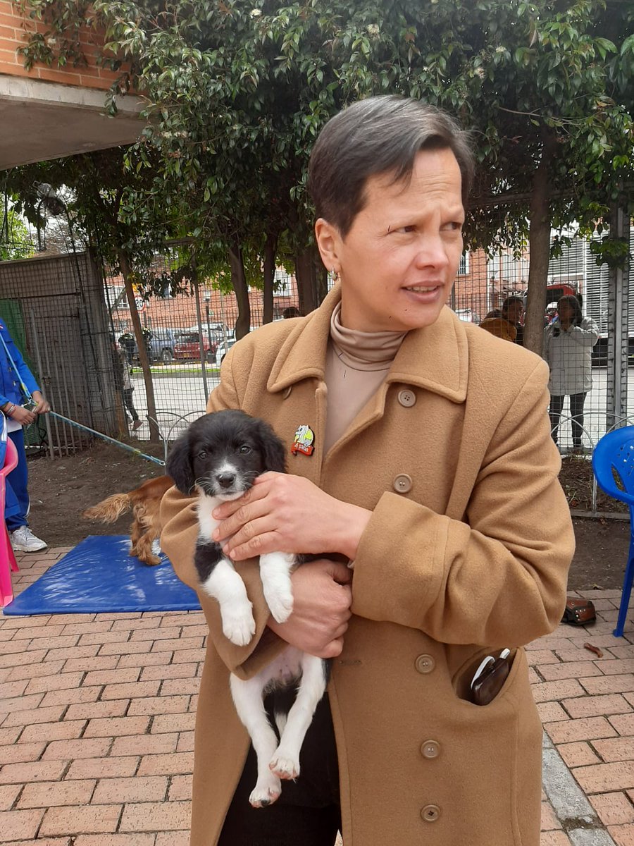 Deidamiapiensa's tweet photo. #VolverAlColeEs cuidar y amar a nuestros animales. Aquí con Vaquita,una perrita bajo la protección de @famigosde4patas una iniciativa escolar @incitar, hoy aula ambiental del Colegio Delia Zapata Olivella. @Educacionbogota @Bogota https://t.co/RJfQI7aUYg