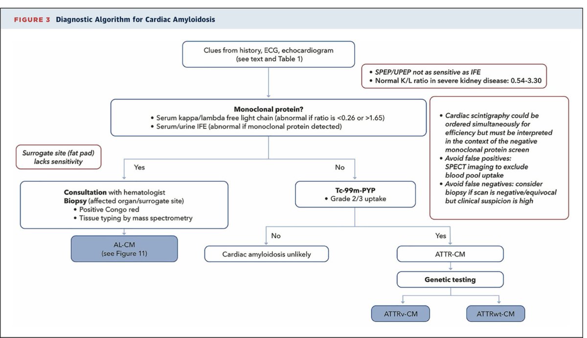 Yevgeniy Brailovsky DO MSc FACC tweet media