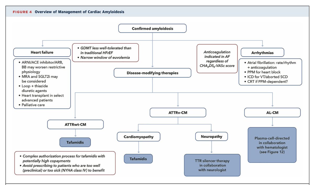 Yevgeniy Brailovsky DO MSc FACC tweet media