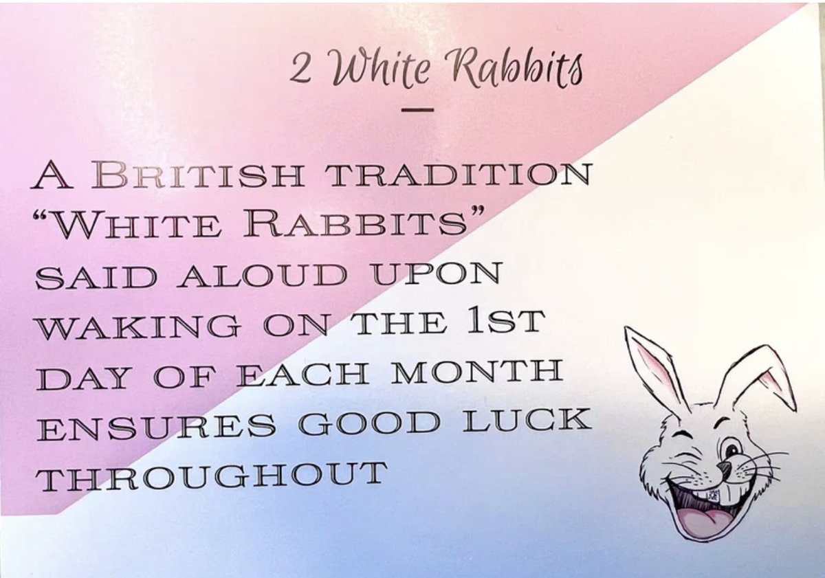 #YearOfTheRabbit #2WR #2WhiteRabbits 🐻❤️🐾🐰