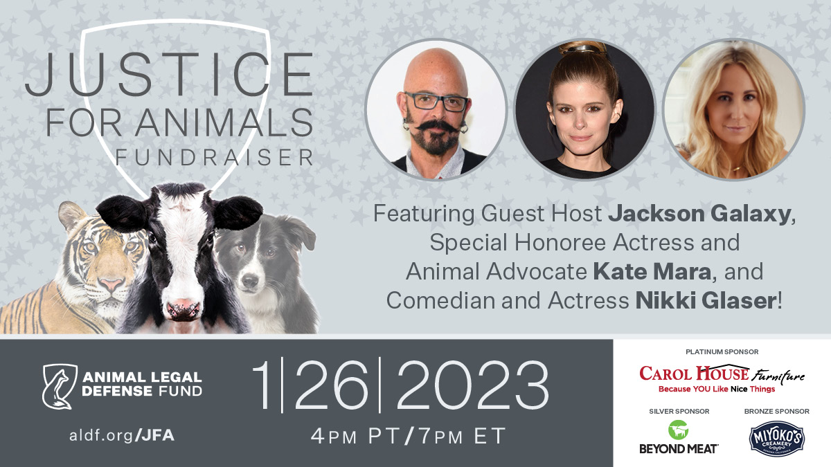 Join me this Thursday for our third annual Justice for Animals. We’ve made landmark strides for animals over the past year, and I’m excited to share these victories with you as we come together to celebrate, raise funds, and honor animal advocates. aldf.org/jfa