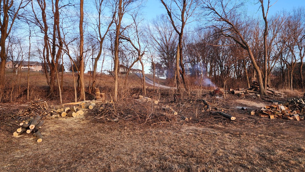 FHolocker's tweet image. Finally got the downed trees all cleaned out of the field. All is left is cutting up the large parts. There is about twenty more to go. Three will be very difficult since they are hanging the wrong way