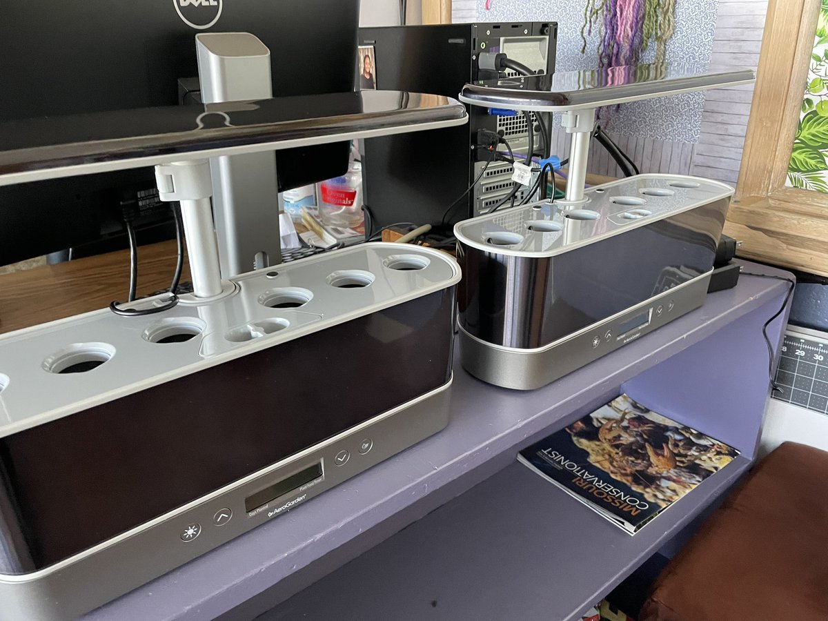 cpsmyers's tweet photo. My plan is to get these up and running tomorrow! Excited to watch our plants grow and use them in class. I am obsessed and we have not even started. @AeroGarden #kidscancook #Hydroponics #wmsfacs https://t.co/ntacNN9vxh
