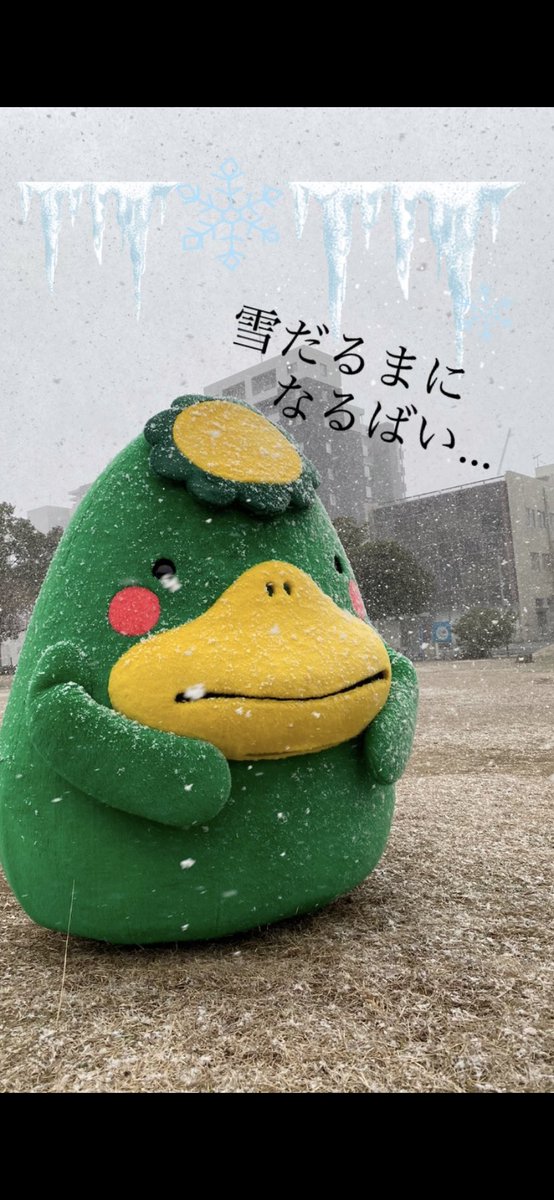 これから気温がますます下がるごたるよ〜🥶❄︎！気温が0度以下になると水道管が凍結するかも〜💦おうちの水道管の凍結防止ばもう一度チェックするばい▼
city.kurume.fukuoka.jp/1050kurashi/20…