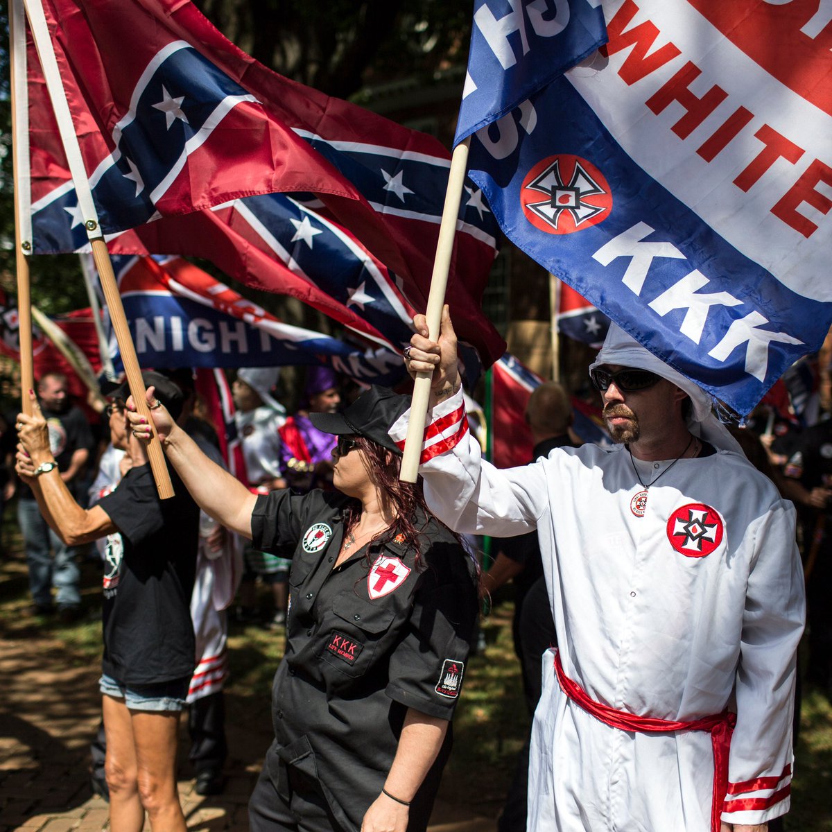Diogenes tweet media