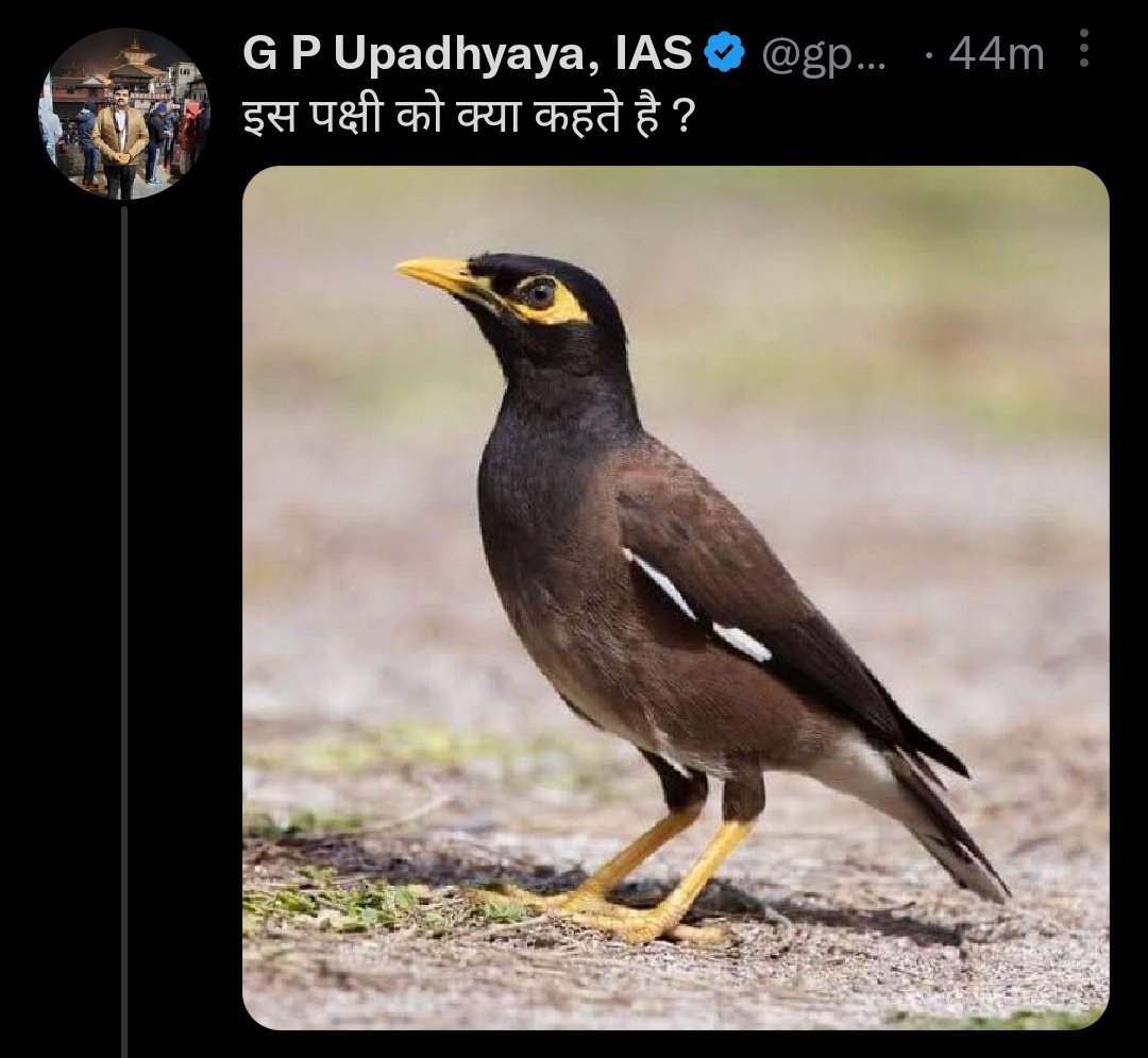 dimo_tai's tweet photo. मुझे नही पता, क्या आपको पता हैं ? 😂

https://t.co/C85nl7HlrB https://t.co/SKiXcyN9xm