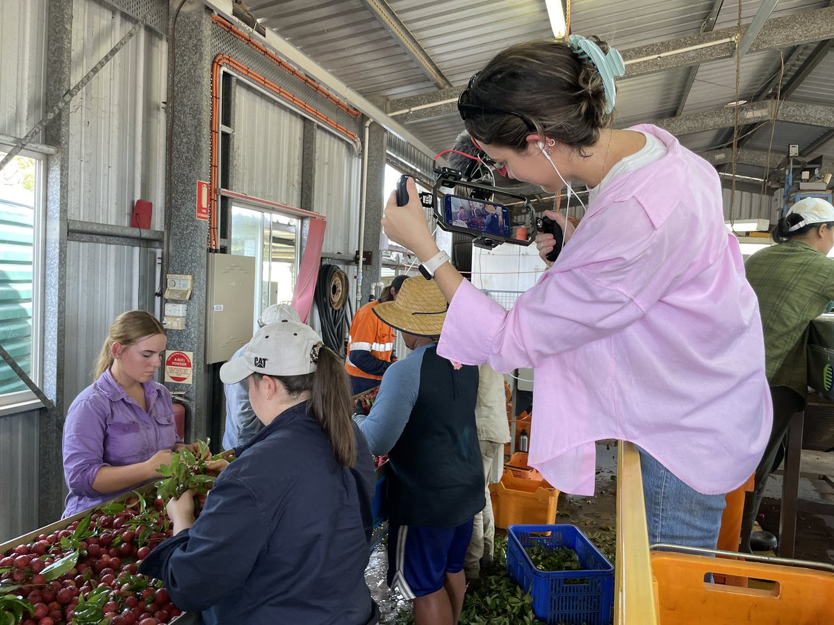 Julie Hornsey (@hornseyj) on Twitter photo I really have a wonderful job! I’ve spent the last couple of days with the wonderful team from ABC Rockhampton sharing the #mojo joy. Thanks for having me <a href="/erinsemmler/">Erin Semmler</a> <a href="/jasminehines_/">Jasmine Hines</a> <a href="/MeganHughes20/">Megan Hughes</a> <a href="/_rachelmcghee/">Rachel McGhee</a> <a href="/ash_stevenson10/">Ashleigh Theodorou</a> & Katrina Bevan I really have a wonderful job! I’ve spent the last couple of days with the wonderful team from ABC Rockhampton sharing the #mojo joy. Thanks for having me <a href="/erinsemmler/">Erin Semmler</a> <a href="/jasminehines_/">Jasmine Hines</a> <a href="/MeganHughes20/">Megan Hughes</a> <a href="/_rachelmcghee/">Rachel McGhee</a> <a href="/ash_stevenson10/">Ashleigh Theodorou</a> & Katrina Bevan