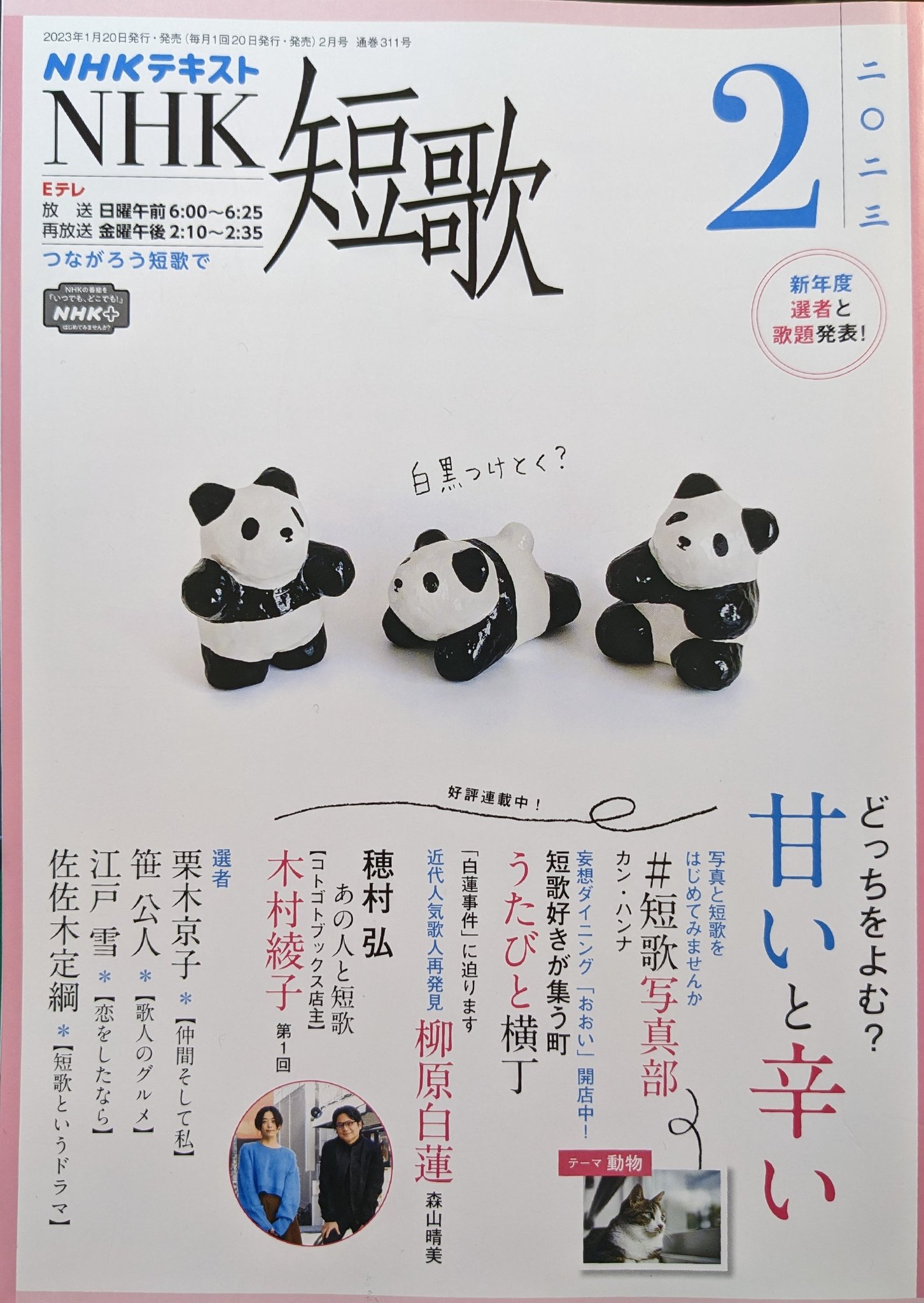 送料無料 非冷凍品同梱不可 ☆き 短歌入門 / 佐佐木信綱 / 集文館刊