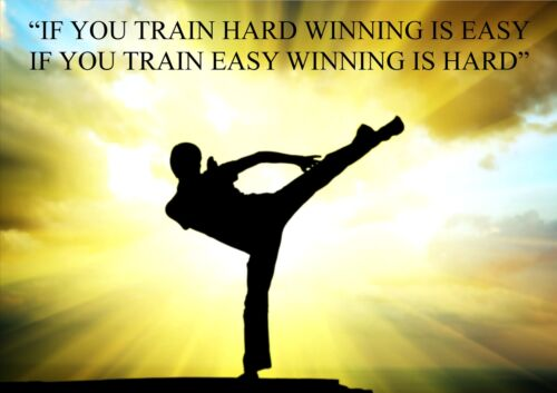 Kimber Martial Arts tweet media