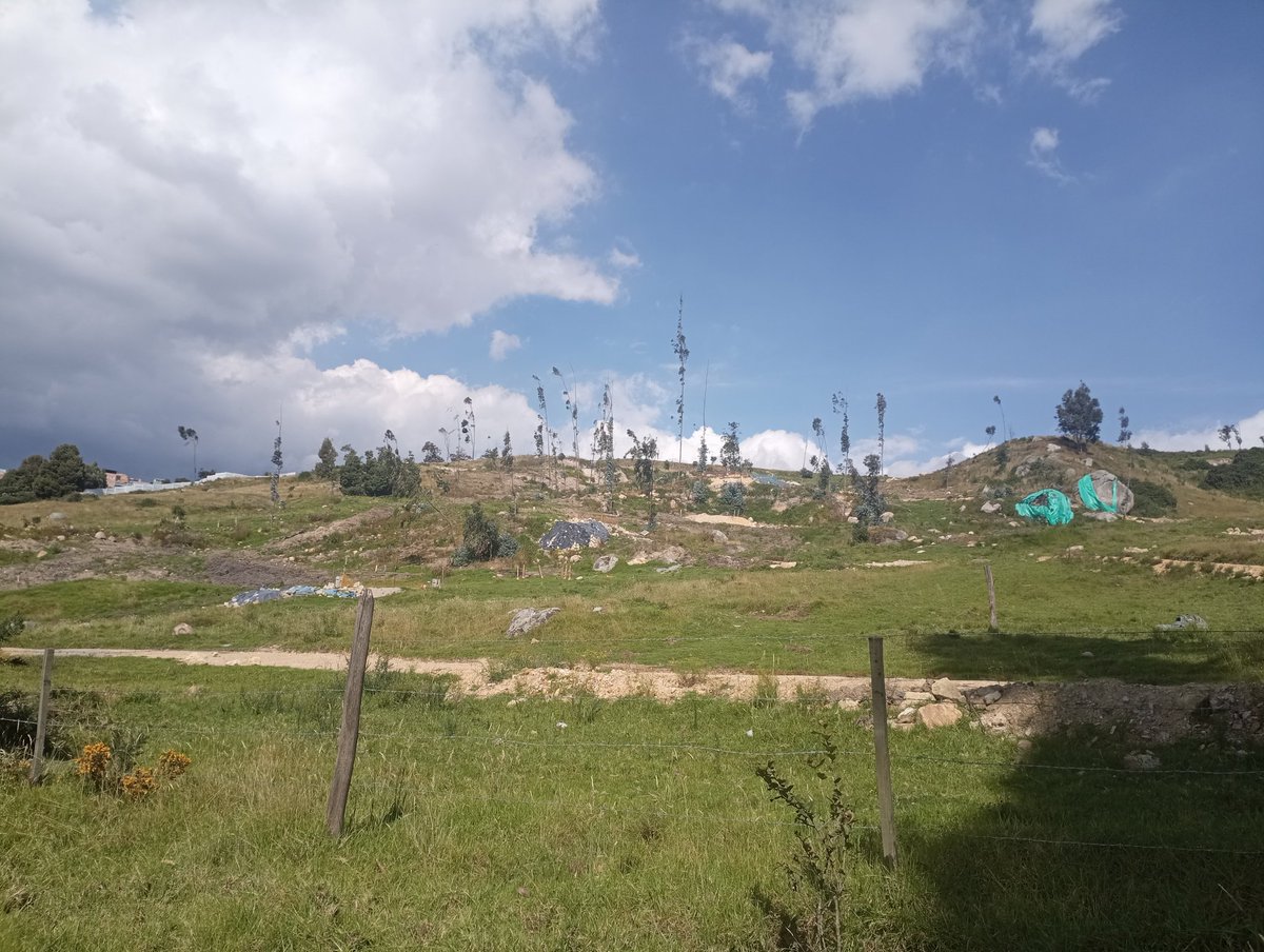 HaroldVillay's tweet photo. #Usme
El sábado hicieron una acción de hecho, los posibles futuros propietarios de #TresQuebradas que compraron en #2018 #Vivienda @habitatbogota aún así ya talaron el bosque y también se ven "terrazas"¿ habrá evidencias arqueológicas? @El_Icanh https://t.co/TjO6lFHF6i