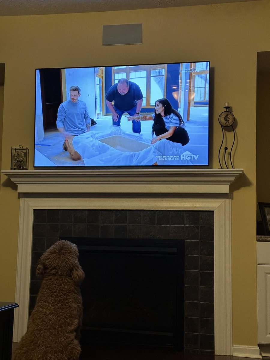 trinity_walsh's tweet photo. @ChelseaHouska you have a very broad audience watching #downhomefab @hgtv #murphyirishdoodle https://t.co/bihZqhdGcI