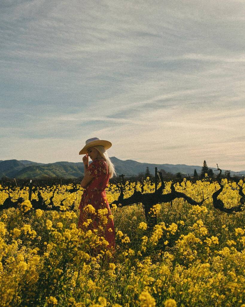 Mini Napa Guide - save for all my favs, but I ALSO have a way more in depth Napa guide on loveandloathingla.com (link in my bio) 👌🍇🌼

A Few Favorite Tastings:

<a href="/axrnapavalley/">AXR Napa Valley</a>
@faustwines
<a href="/inglenook1879/">Inglenook</a>
<a href="/paraduxxwine/">Paraduxx</a>
<a href="/tamberbey/">Tamber Bey Vineyards</a>
<a href="/davisestates/">Davis Estates</a>
@farn… instagr.am/p/Cnx96ITLpsM/