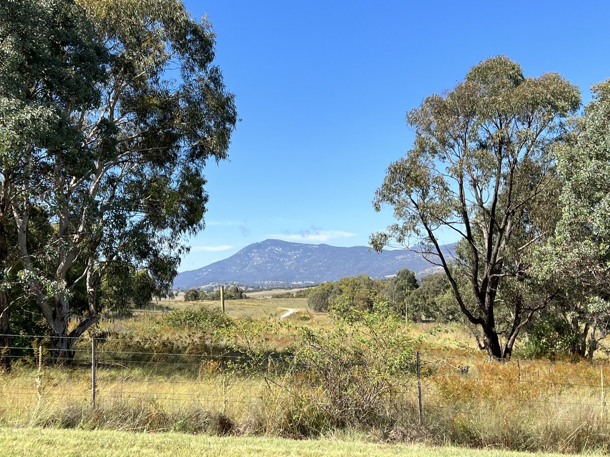gregt39's tweet photo. A great start to week 0 with a walk on country. How are you connecting with country and reconnecting with your teams? #connecttocountry #schoolculture @ACTEducation https://t.co/zhYpeX44MK