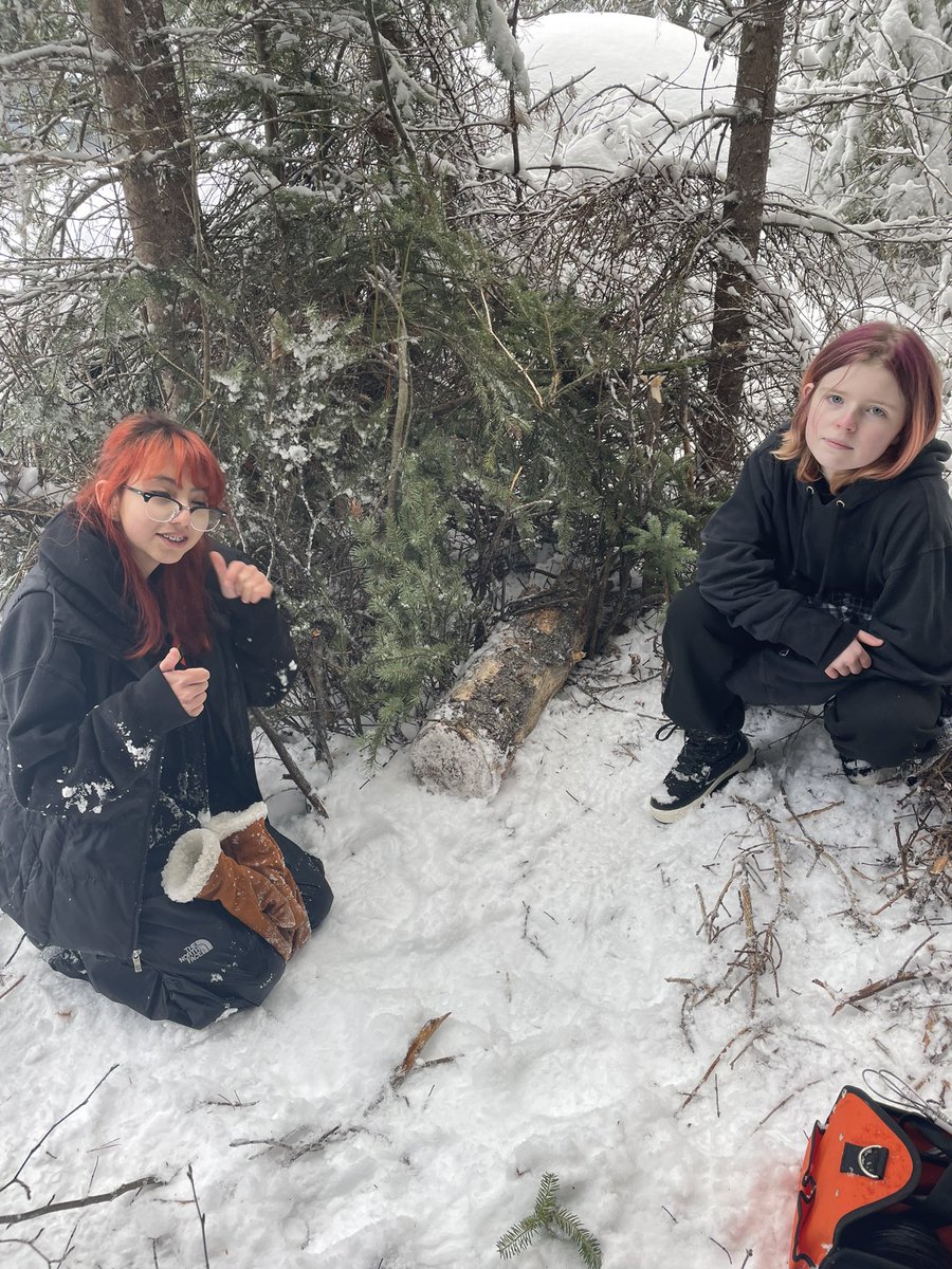 Dead Pine Collective tweet media