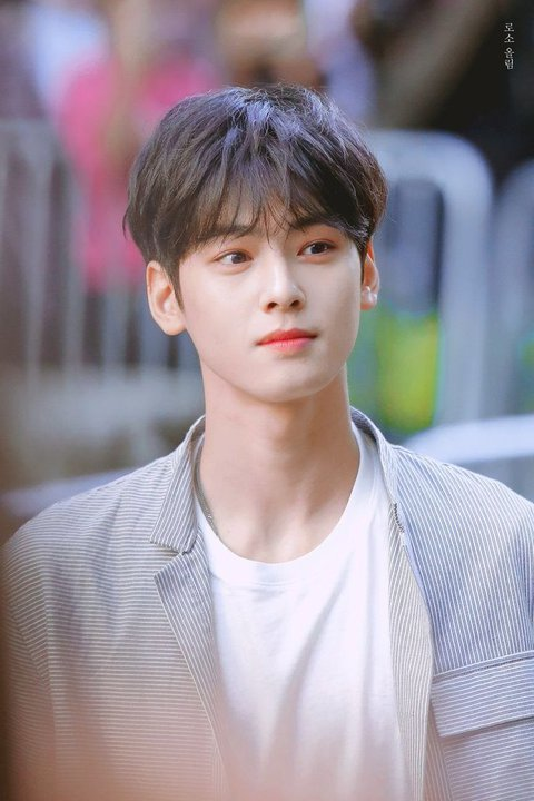 차은우_Iagdtbad🐶Chasuho🏝Leeunwoo (@Le_Suho) / X
