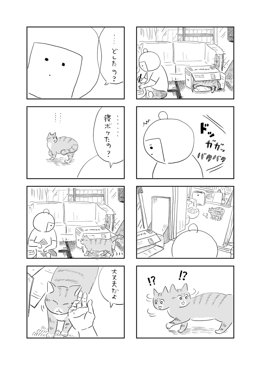 寝ぼけ茶丸(再掲載)
#さくまのまんが

段ボールの中で寝ていた茶丸ですが… 