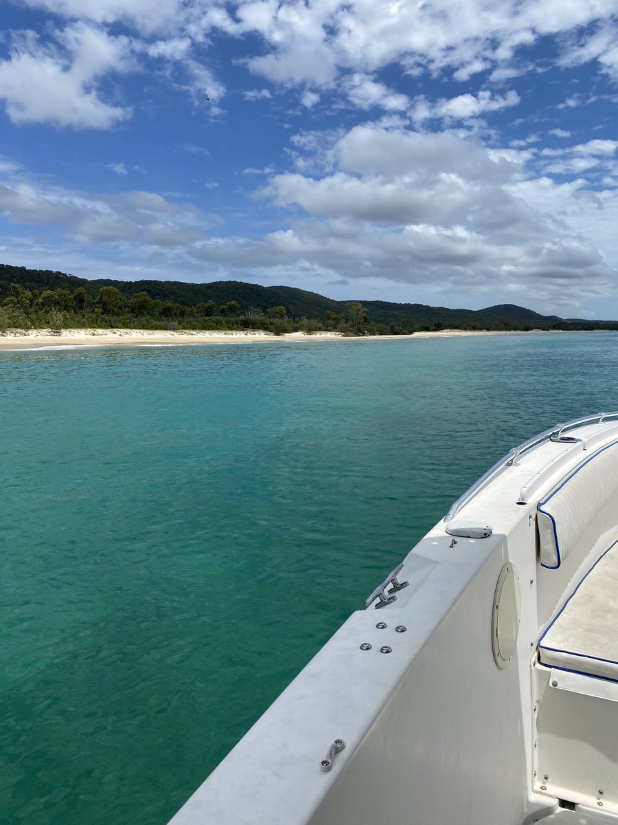 Perfect weather for mapping seagrasses!!