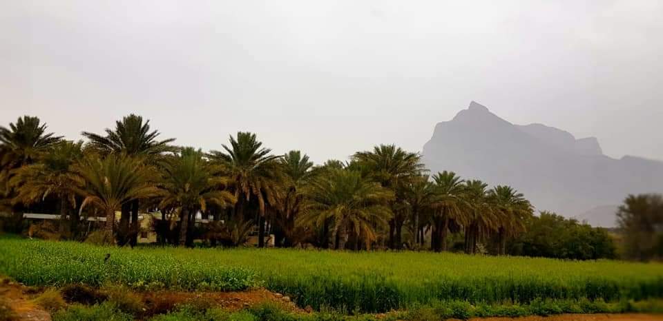 " وَهُوَ ٱلَّذِى يُنَزِّلُ ٱلْغَيْثَ مِنۢ بَعْدِ مَا قَنَطُواْ وَيَنشُرُ رَحْمَتَهُۥ ۚ وَهُوَ ٱلْوَلِىُّ ٱلْحَمِيدُ "

صباح الأجواء الجميلة...اللهم غيثا مغيثا ...آمين