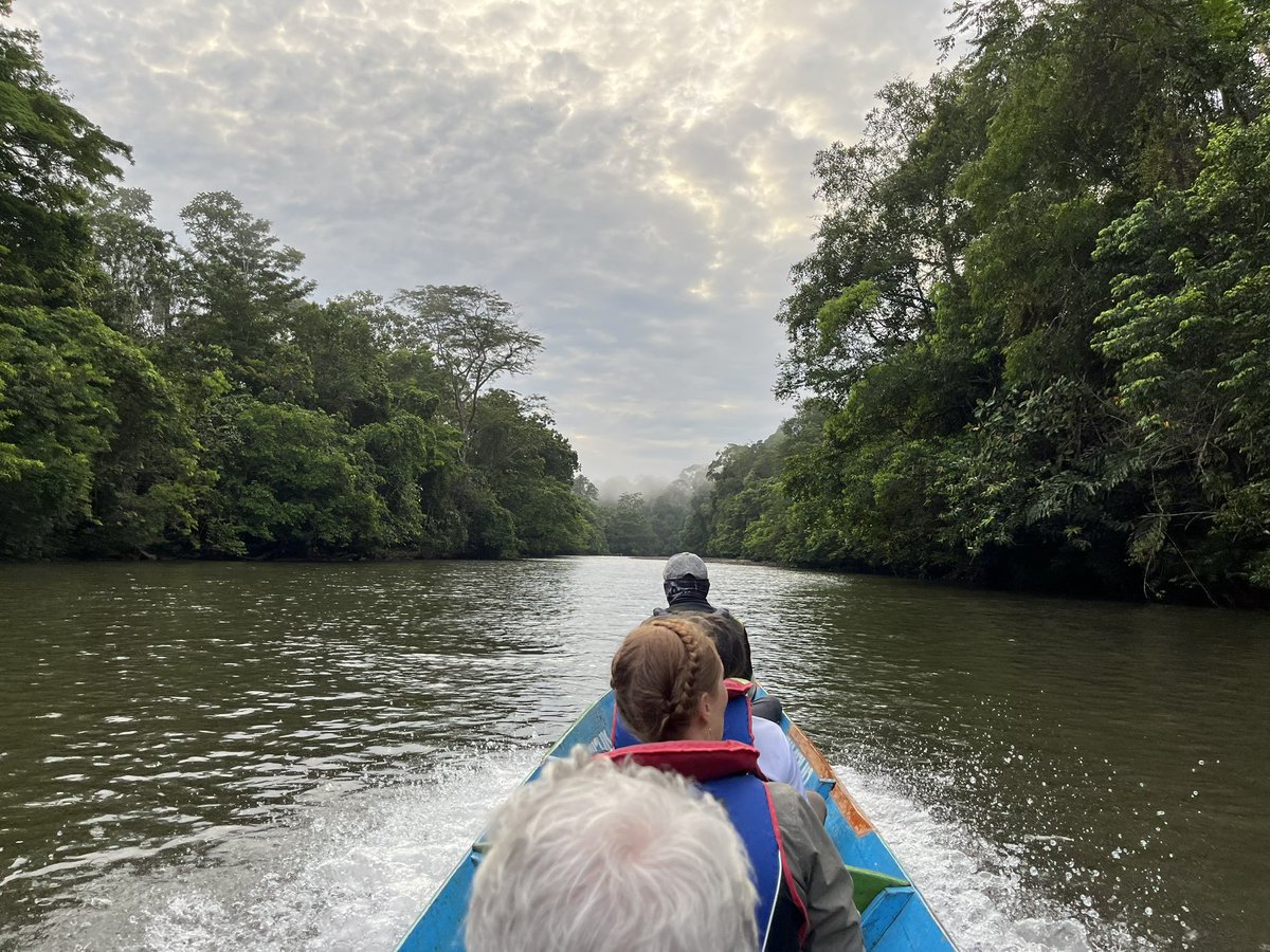 Incredible first 2 weeks in Brunei kicking off the first pitcher plant field experiments of my PhD with the team from @MechEcoLab and attending the International Workshop for Biodiversity and Bioinspiration @UBDVTLab ! Here are some of the best bits so far! 🌿