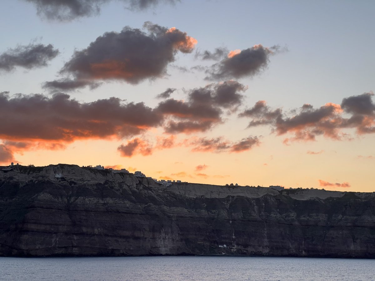 Ally Peccia tweet media