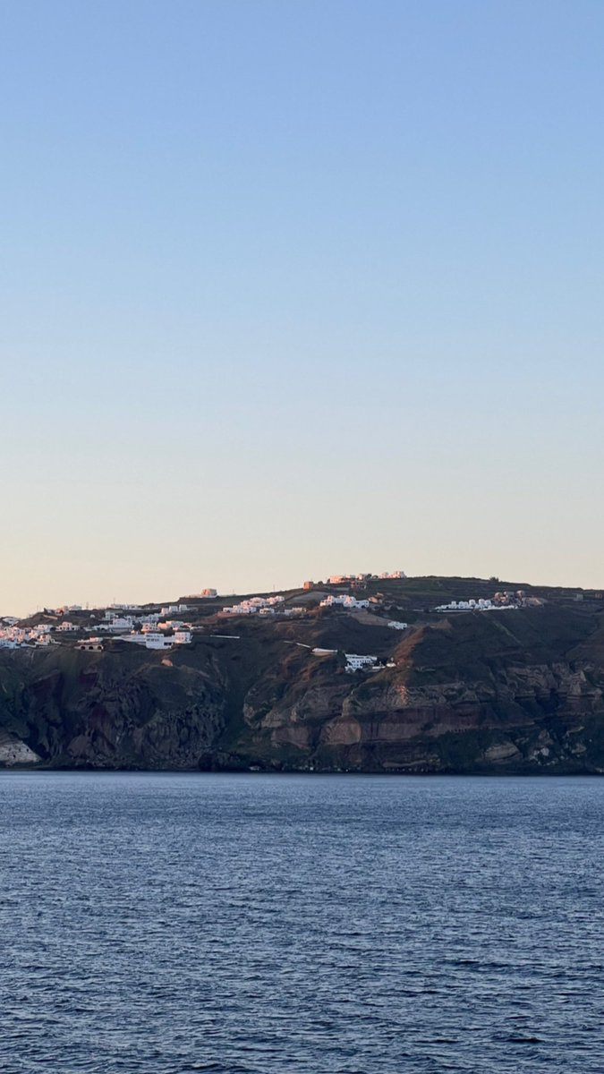 Ally Peccia tweet media