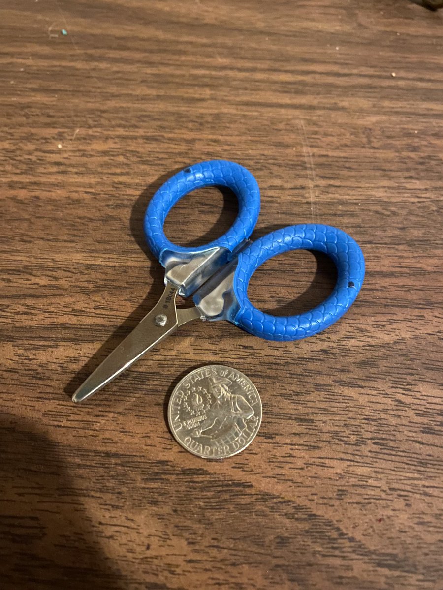 drtylilwhiteboy's tweet photo. @AskTSA carry on? https://t.co/tZkF27pME0